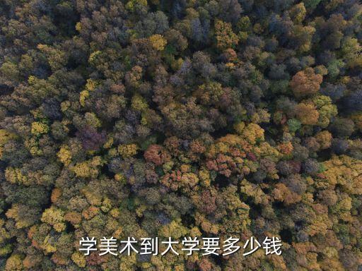 学美术到大学要多少钱
