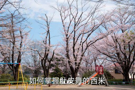 肚皮舞 西米怎么跳，怎么跳肚皮舞减肥