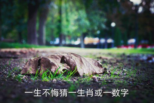 一生不悔猜一生肖或一数字