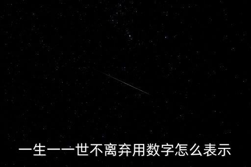 什么数字代表一生无悔，一生一一世不离弃用数字怎么表示