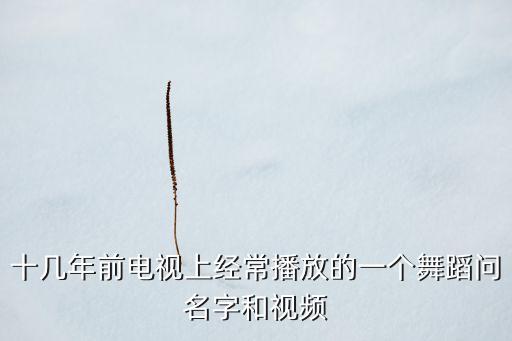 十几年前电视上经常播放的一个舞蹈问名字和视频
