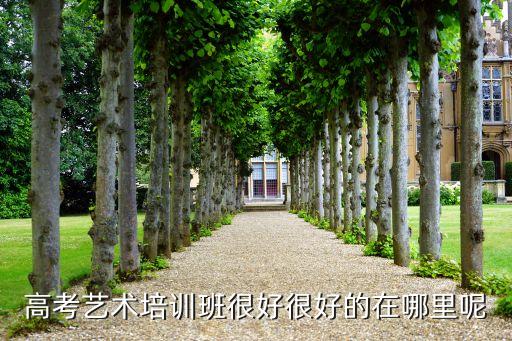 高考艺术培训班很好很好的在哪里呢