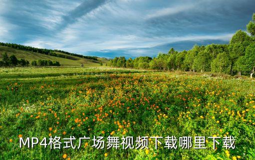 哪个网站下载广场舞方便，什么地方下载广场舞视频方便