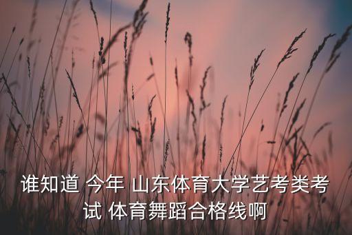 山东省舞蹈类分数线，2015至2016山东艺术高考分数线是多少