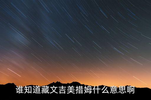 谁知道藏文吉美措姆什么意思啊