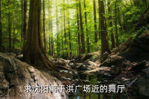 求沈阳离于洪广场近的舞厅
