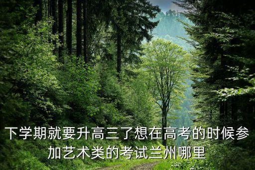 兰州艺考培训机构有哪些，下学期就要升高三了想在高考的时候参加艺术类的考试兰州哪里