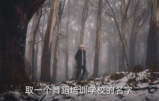 舞蹈培训机构取名字，舞蹈培训班取什么名字好