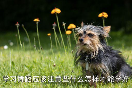 古典舞表情怎么练，如何练习面部表情我想用于表演