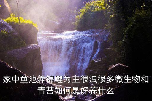 家中鱼池养锦鲤为主很浊很多微生物和青苔如何是好养什么