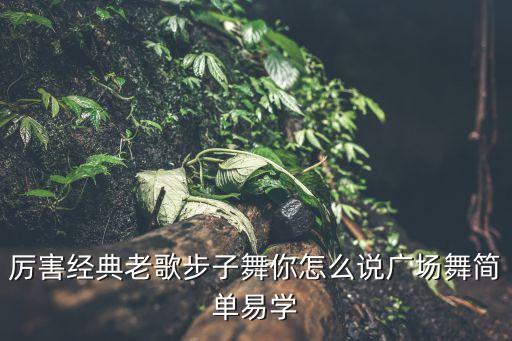 你怎么说 舞，厉害经典老歌步子舞你怎么说广场舞简单易学