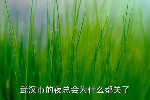 武汉舞秀为什么倒闭，武汉街舞特别团体德成员