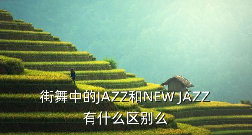 街舞中的JAZZ和NEW JAZZ有什么区别么