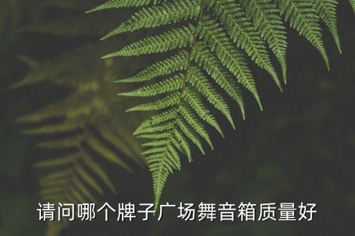 请问哪个牌子广场舞音箱质量好