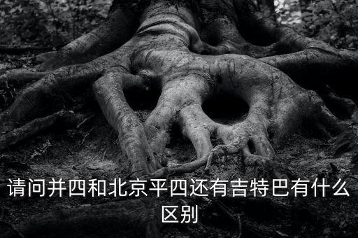 请问并四和北京平四还有吉特巴有什么区别