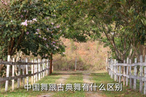 中国舞跟古典舞有什么区别