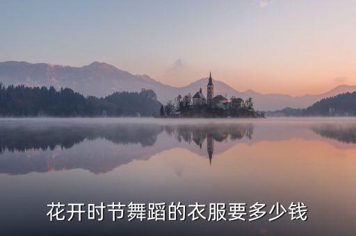 花开时节舞蹈的衣服要多少钱