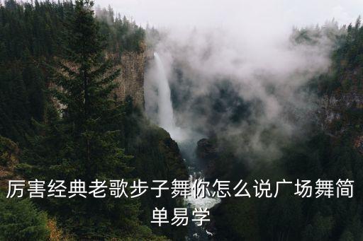 你怎么说动动广场午，厉害经典老歌步子舞你怎么说广场舞简单易学