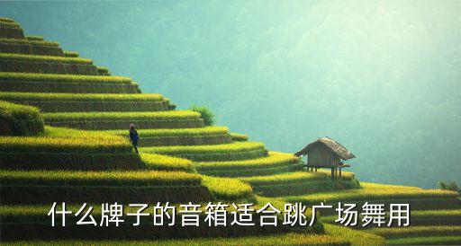 广场舞视频音响哪个牌子最好，什么牌子的音箱适合跳广场舞用