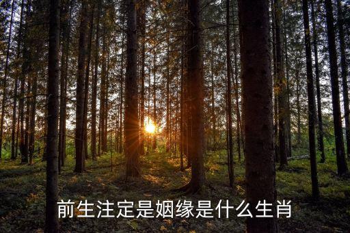 前生注定是姻缘是什么生肖