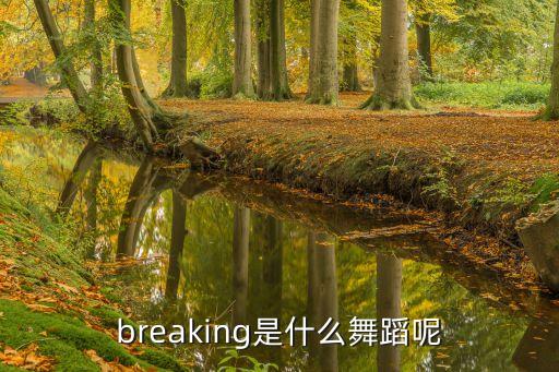 跳的很快的那是什么舞，exo跳的最快的舞是甚么