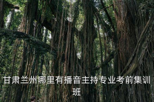 甘肃兰州哪里有播音主持专业考前集训班