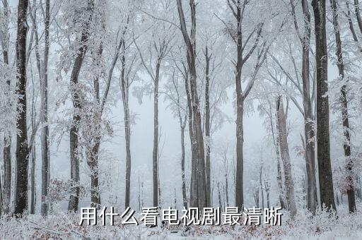 什么软件看剧免费又清晰，哪个软件看电影电视剧动漫都比较全比较清晰的