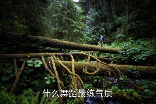 什么舞蹈能练气质，练什么舞可以增加气质