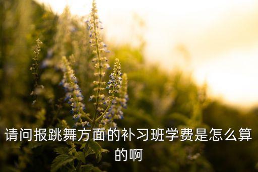 请问报跳舞方面的补习班学费是怎么算的啊