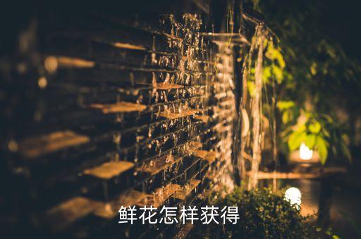 糖豆广场舞鲜花怎么得，鲜花怎样获得