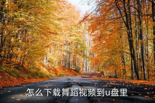 怎么下载舞蹈视频到u盘里