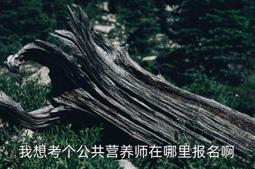 我想考个公共营养师在哪里报名啊