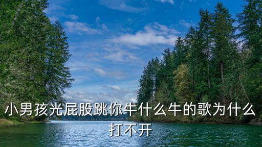 小男孩光屁股跳你牛什么牛的歌为什么打不开