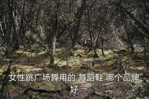 女性跳广场舞用的 舞蹈鞋 哪个品牌好