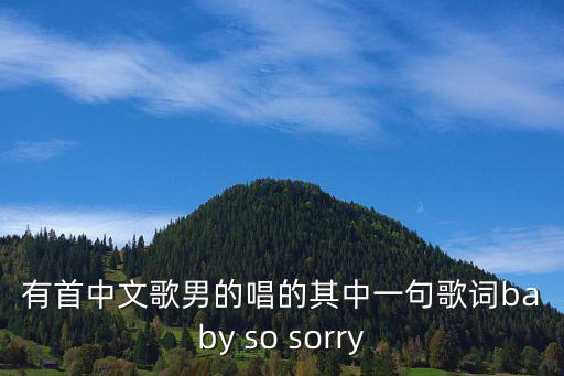 有首中文歌男的唱的其中一句歌词baby so sorry