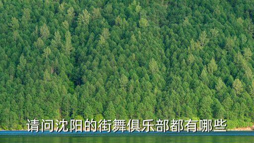 请问沈阳的街舞俱乐部都有哪些