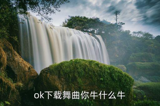 ok下载舞曲你牛什么牛