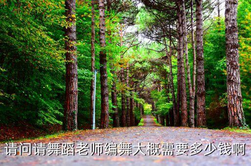 找人编舞要多少钱，编个舞蹈多少钱