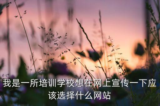 我是一所培训学校想在网上宣传一下应该选择什么网站