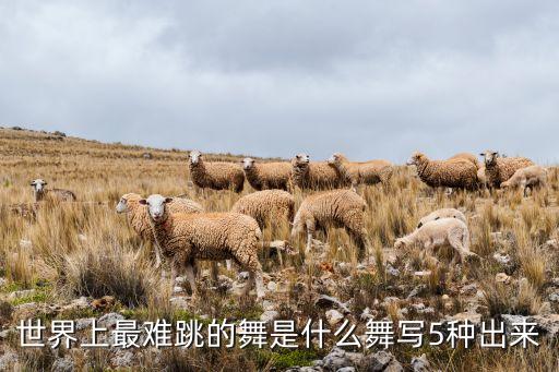 世界上最难跳的舞是什么舞写5种出来