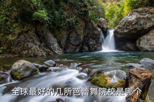 全球最好的几所芭蕾舞院校是哪个