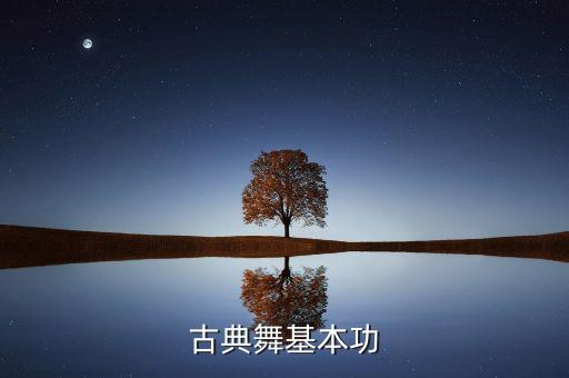 零基础古典舞基本功训练，如何在古典舞基本功训练课上训练腿部动作的稳定性