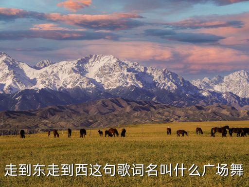 走到东走到西这句歌词名叫什么广场舞