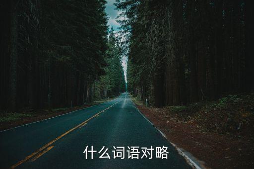 什么词语对略