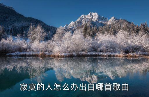 寂寞的人怎么办 谁唱的，有一首歌中有这样的歌词我一个人不孤单想一个人才孤单寂寞