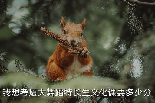 高考舞蹈特长生要求多少分，北京录取河北省舞蹈特长生的分数是多少