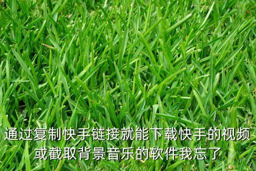 通过复制快手链接就能下载快手的视频或截取背景音乐的软件我忘了