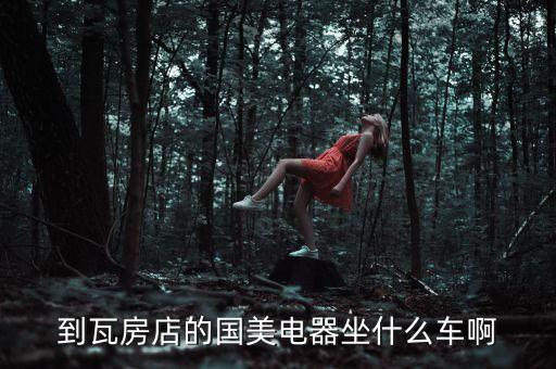 到瓦房店的国美电器坐什么车啊