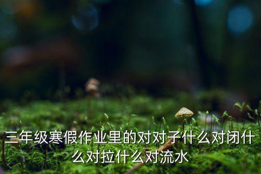 三年级寒假作业里的对对子什么对闭什么对拉什么对流水