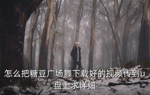怎么把糖豆广场舞下载好的视频传到u盘上求详细